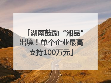 湖南鼓励“湘品”出境！单个企业最高支持100万元